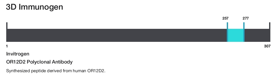OR12D2 Polyclonal Antibody