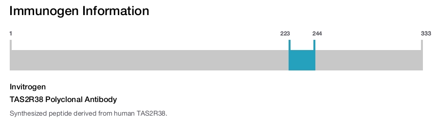 TAS2R38 Polyclonal Antibody