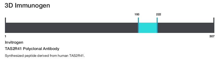 TAS2R41 Polyclonal Antibody