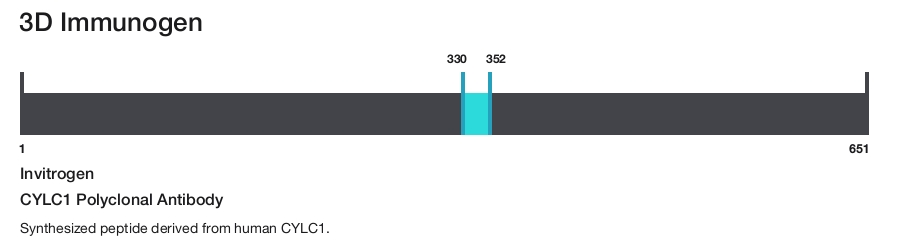 CYLC1 Polyclonal Antibody