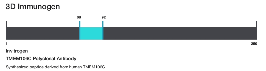 TMEM106C Polyclonal Antibody