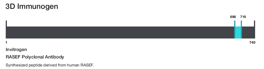 RASEF Polyclonal Antibody