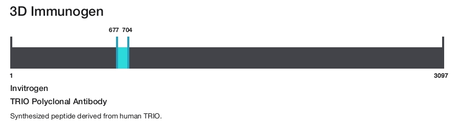 TRIO Polyclonal Antibody