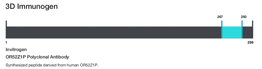 OR52Z1P Polyclonal Antibody