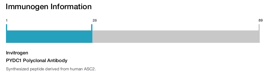 PYDC1 Polyclonal Antibody