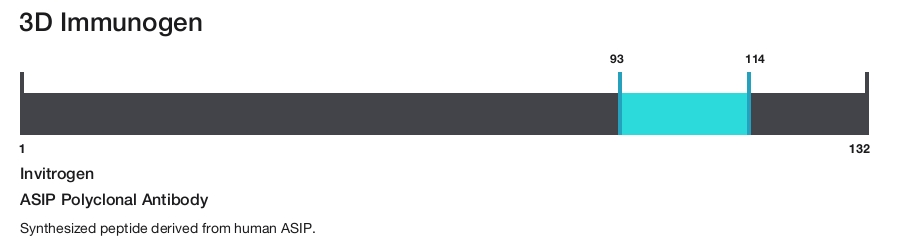 ASIP Polyclonal Antibody