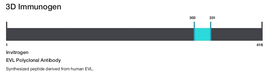 EVL Polyclonal Antibody