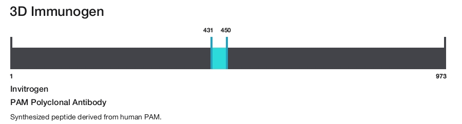 PAM Polyclonal Antibody
