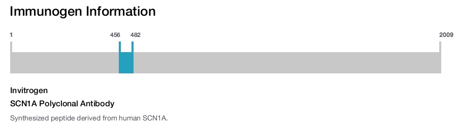 SCN1A Polyclonal Antibody