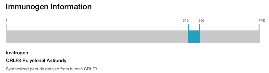 CRLF3 Polyclonal Antibody