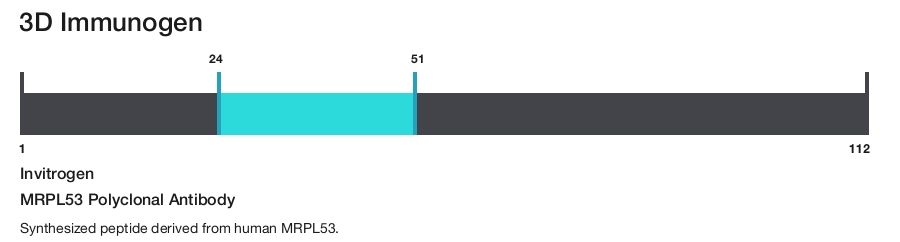 MRPL53 Polyclonal Antibody