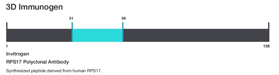 RPS17 Polyclonal Antibody