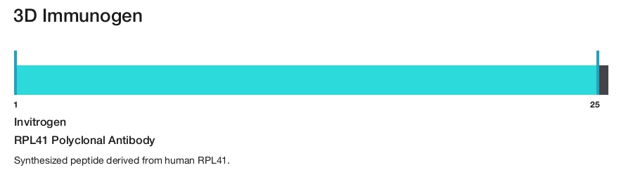 RPL41 Polyclonal Antibody