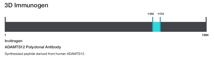ADAMTS12 Polyclonal Antibody