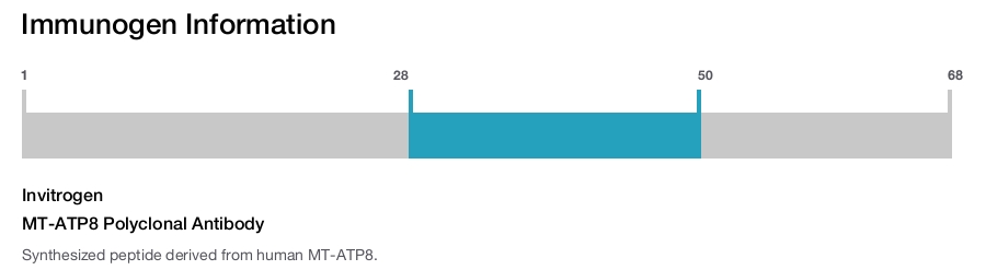 MT-ATP8 Polyclonal Antibody