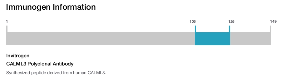 CALML3 Polyclonal Antibody