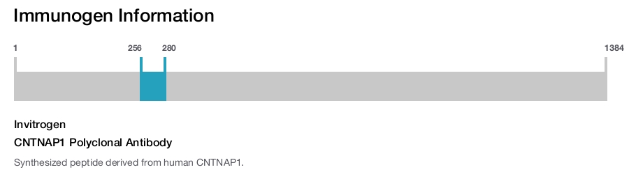 CNTNAP1 Polyclonal Antibody