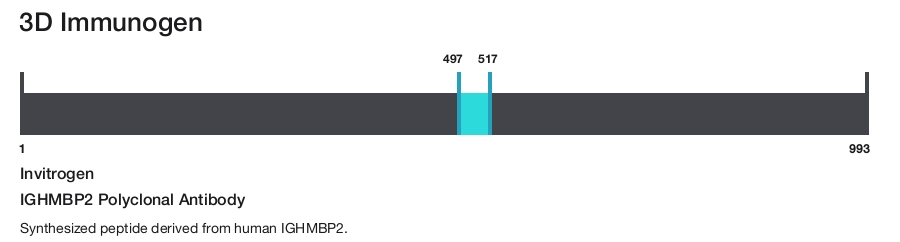 IGHMBP2 Polyclonal Antibody