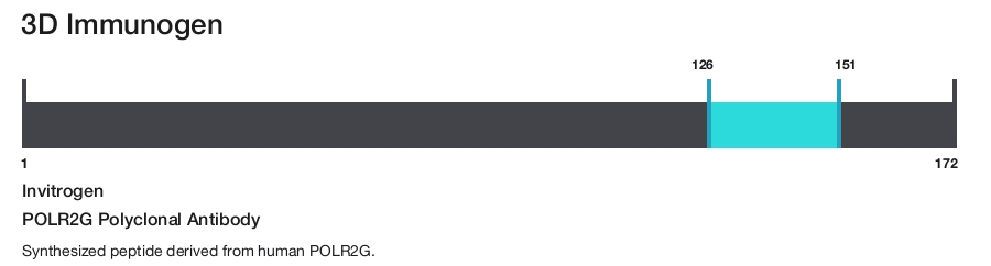 POLR2G Polyclonal Antibody