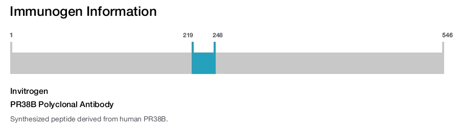 PR38B Polyclonal Antibody