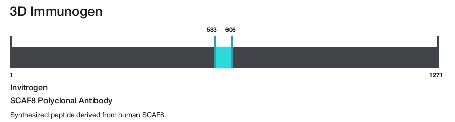 SCAF8 Polyclonal Antibody
