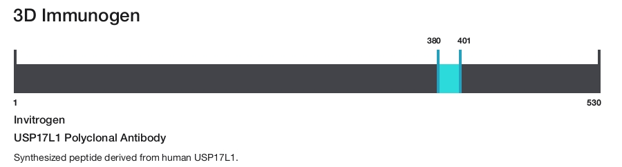 USP17L1 Polyclonal Antibody