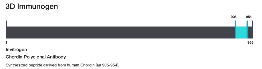 Chordin Polyclonal Antibody