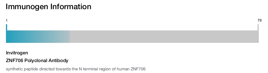 ZNF706 Polyclonal Antibody