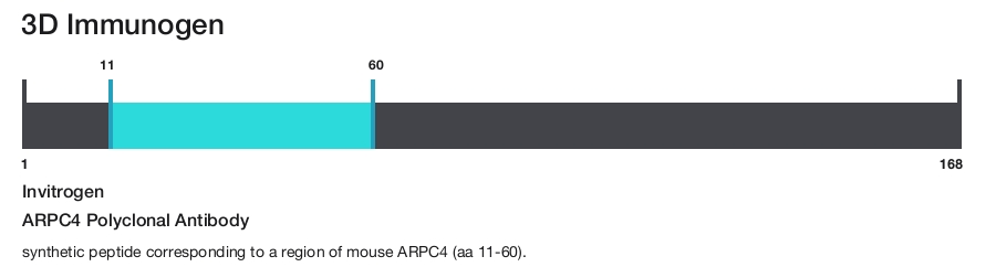 ARPC4 Polyclonal Antibody