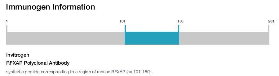 RFXAP Polyclonal Antibody