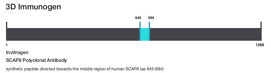 SCAF8 Polyclonal Antibody