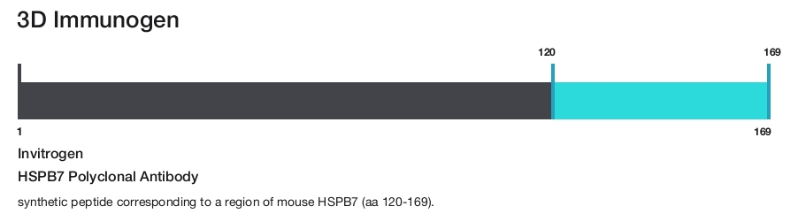HSPB7 Polyclonal Antibody