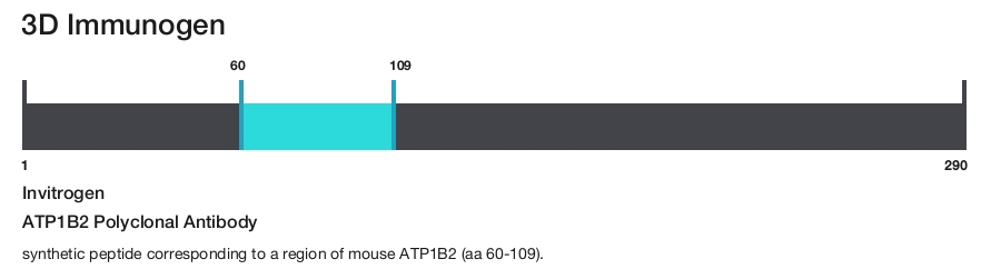 ATP1B2 Polyclonal Antibody