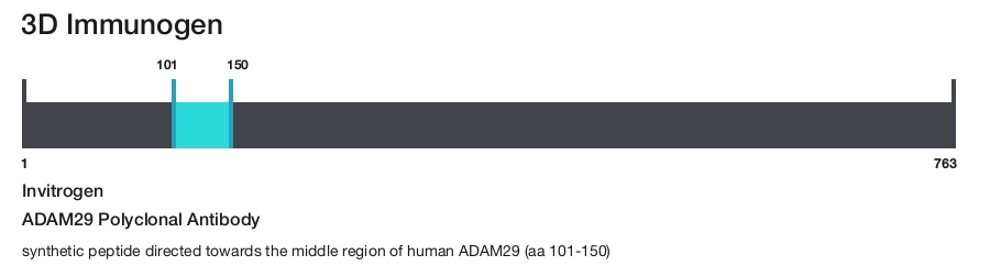 ADAM29 Polyclonal Antibody