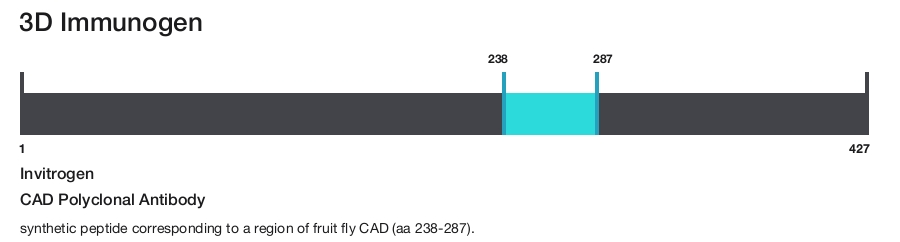 CAD Polyclonal Antibody
