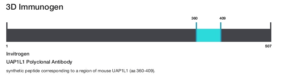 UAP1L1 Polyclonal Antibody