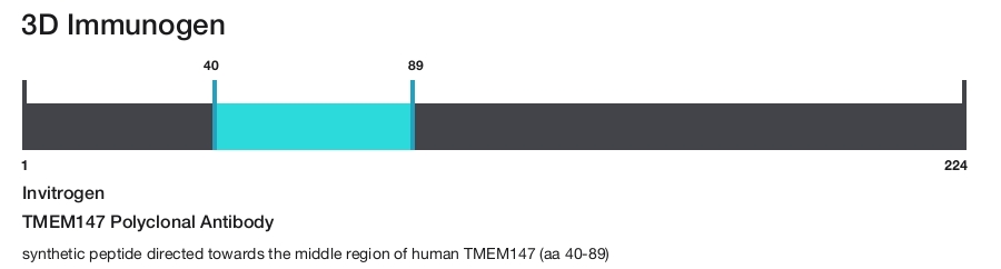 TMEM147 Polyclonal Antibody