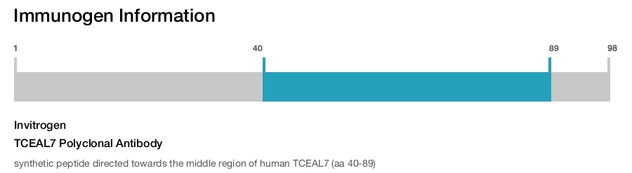 TCEAL7 Polyclonal Antibody