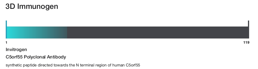 C5orf55 Polyclonal Antibody