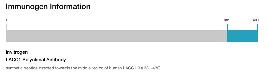 LACC1 Polyclonal Antibody