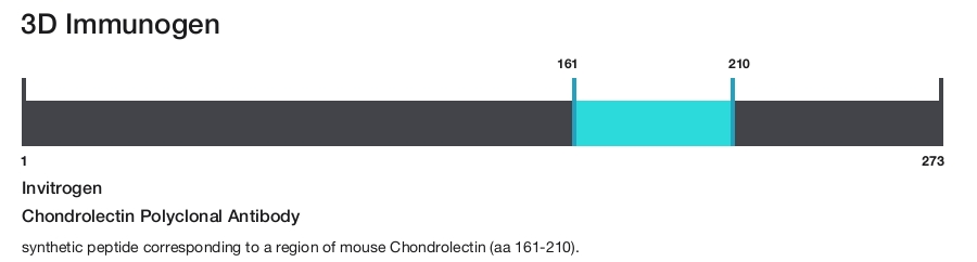 Chondrolectin Polyclonal Antibody