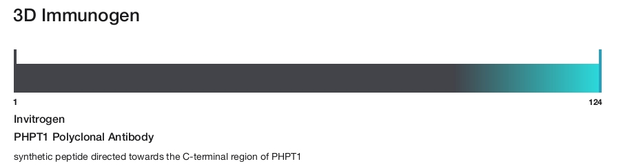 PHPT1 Polyclonal Antibody