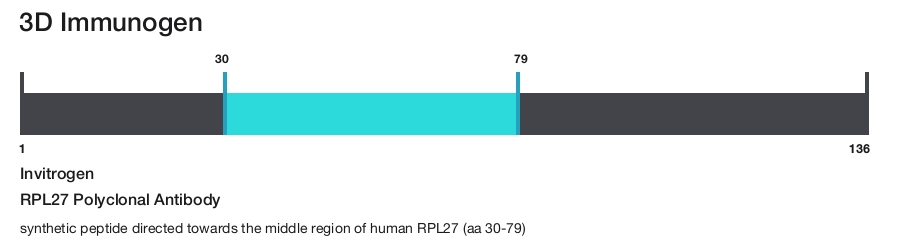 RPL27 Polyclonal Antibody