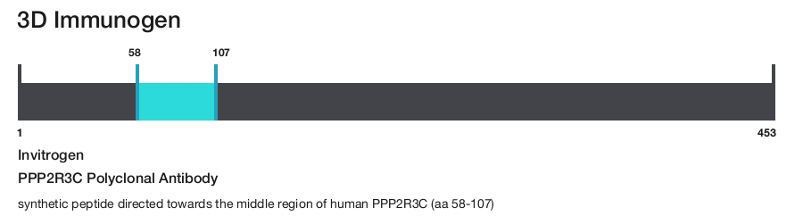 PPP2R3C Polyclonal Antibody