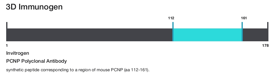 PCNP Polyclonal Antibody