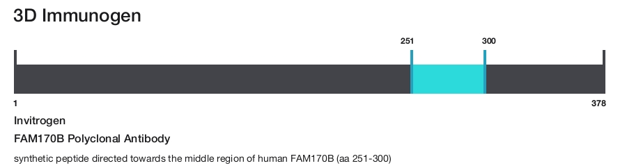 FAM170B Polyclonal Antibody