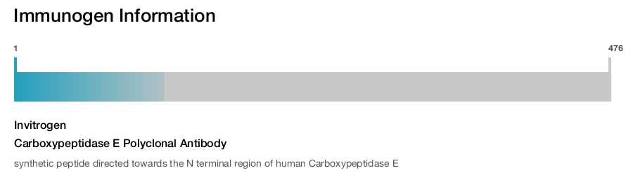 Carboxypeptidase E Polyclonal Antibody