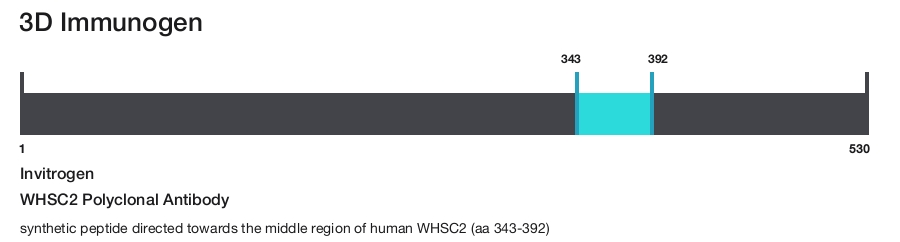 WHSC2 Polyclonal Antibody