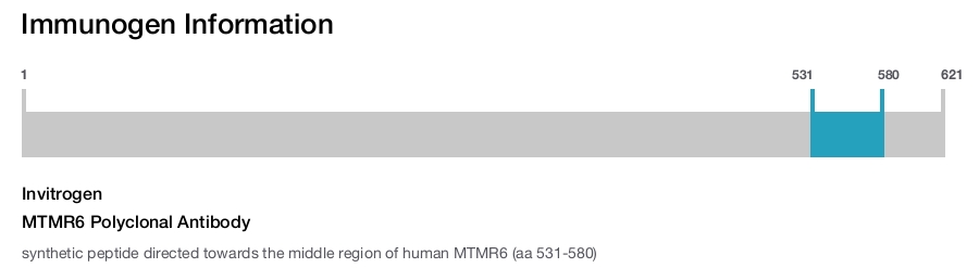 MTMR6 Polyclonal Antibody