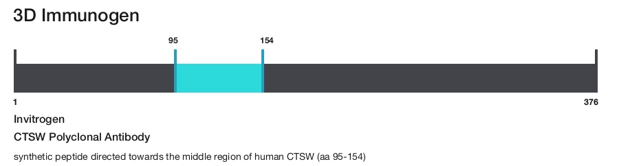 CTSW Polyclonal Antibody